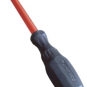 Isolerad pozdrivemejsel